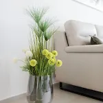 דירה Malu