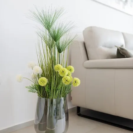 Apartman Malu